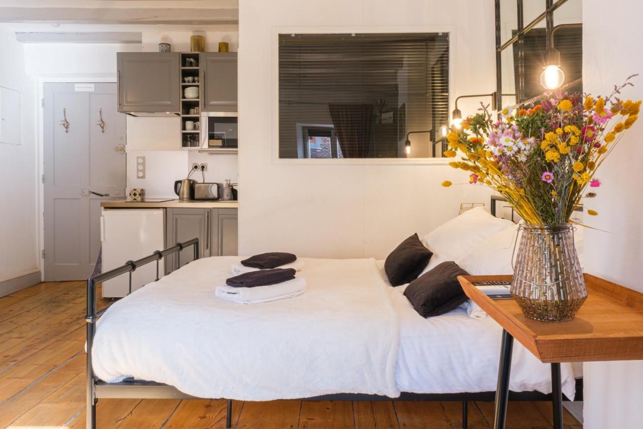 Au Grey D'Annecy, Studio Cosy Au Coeur De La Ville Eksteriør bilde