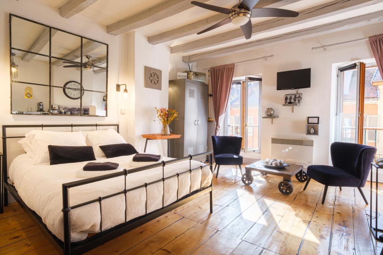 Au Grey D'Annecy, Studio Cosy Au Coeur De La Ville Eksteriør bilde